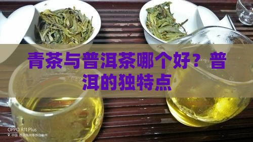 青茶和普洱茶哪种茶好