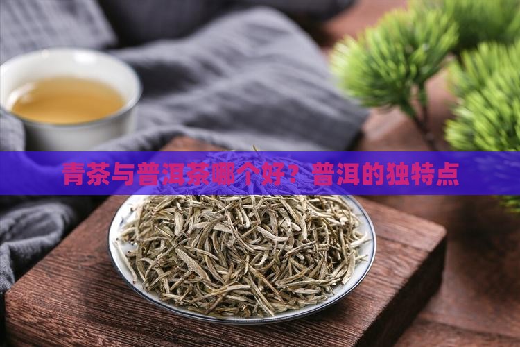 青茶和普洱茶哪种茶好