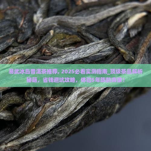 易武冰岛普洱茶推荐
