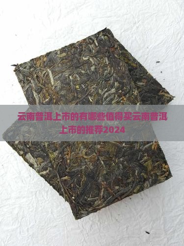云南普洱上市的品牌