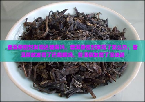 普洱茶密封发霉