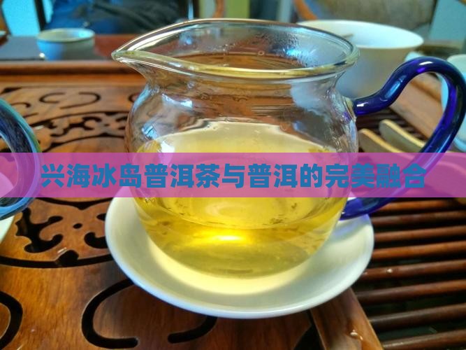 兴海冰岛普洱茶