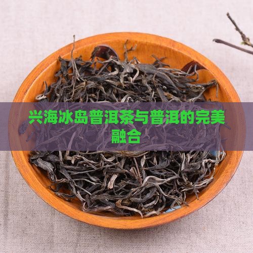 兴海冰岛普洱茶