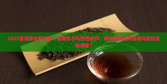 普洱茶柔情似水不失野性