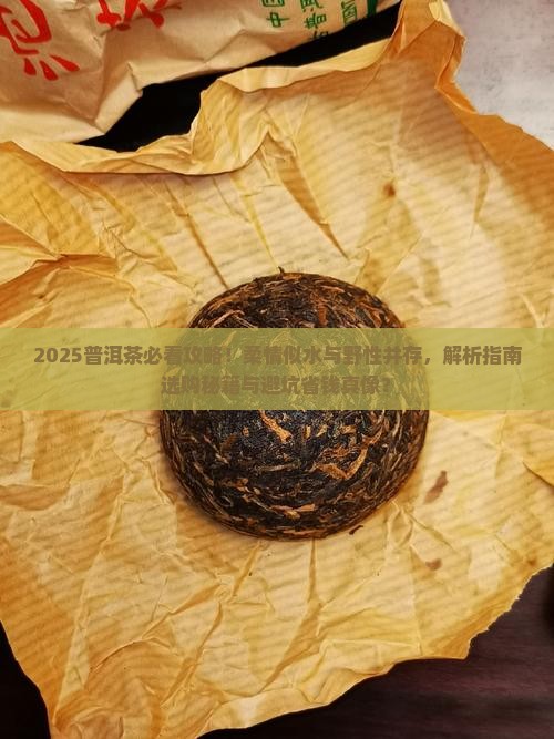 普洱茶柔情似水不失野性