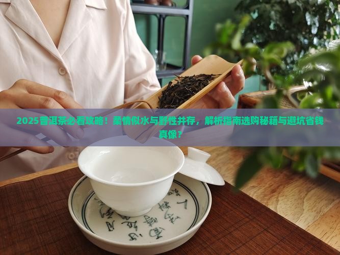 普洱茶柔情似水不失野性
