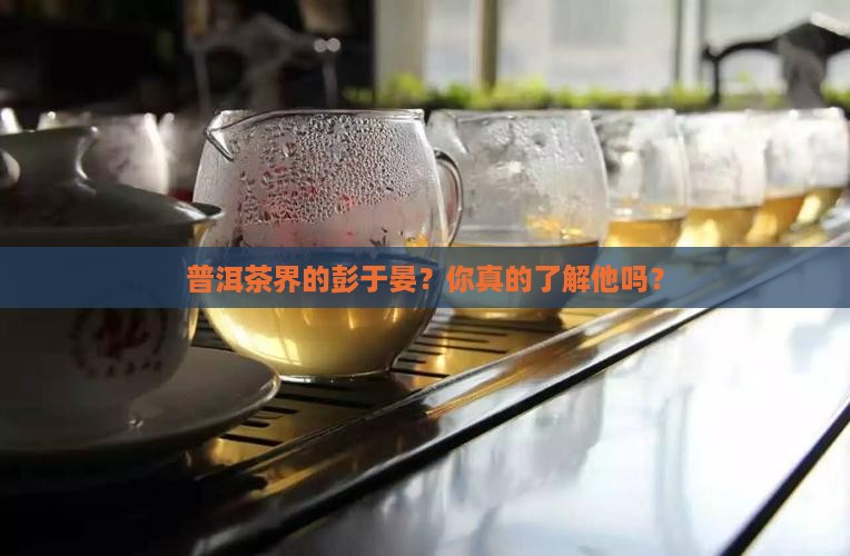 普洱茶界的彭于晏