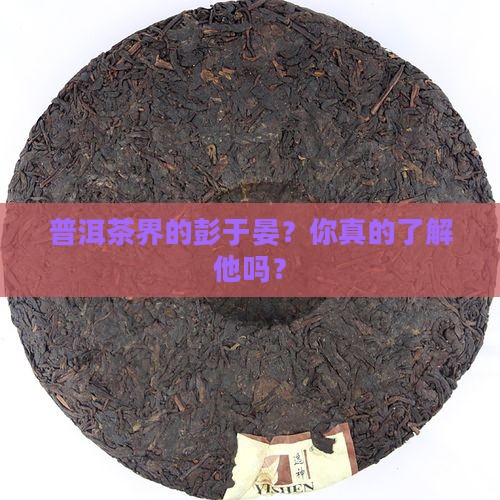 普洱茶界的彭于晏