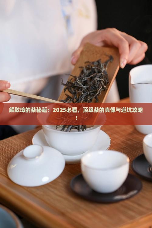 台湾著名茶人解致璋