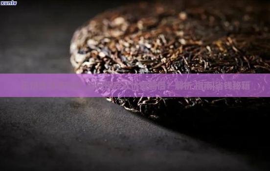 正饼普洱茶存放