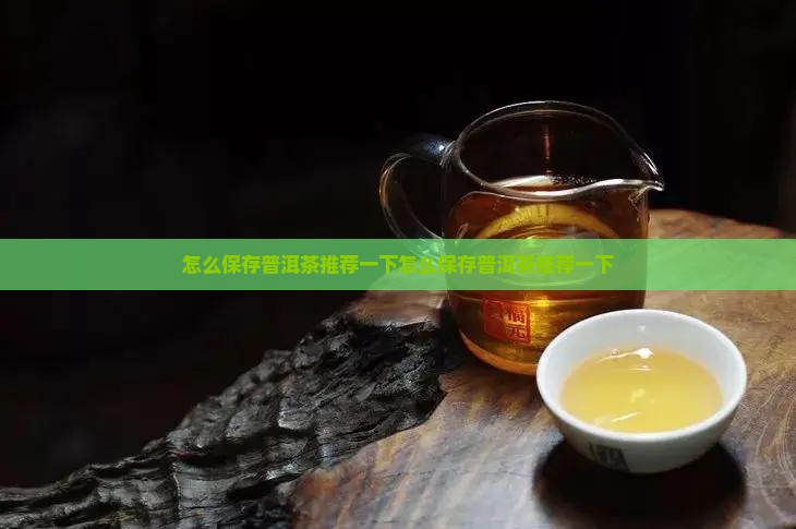 怎么保存普洱茶推荐一下