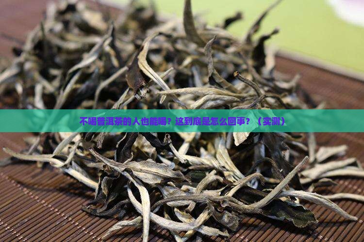 不喝普洱茶的人能喝吗