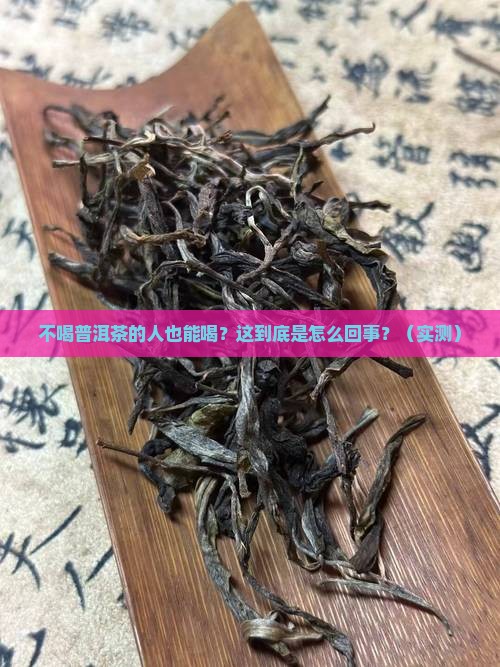 不喝普洱茶的人能喝吗