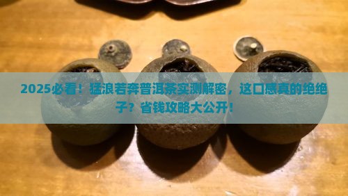 猛浪若奔普洱茶