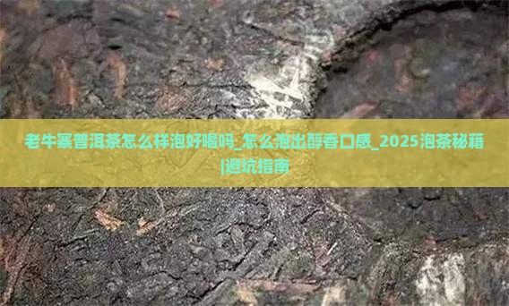 老牛寨普洱茶怎么样泡好喝吗