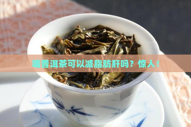 喝普洱茶可以减脂肪肝吗