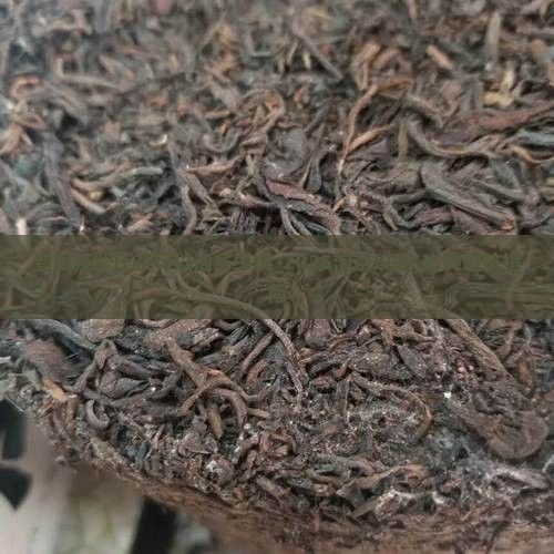 普洱茶紧压茶可以泡多少次