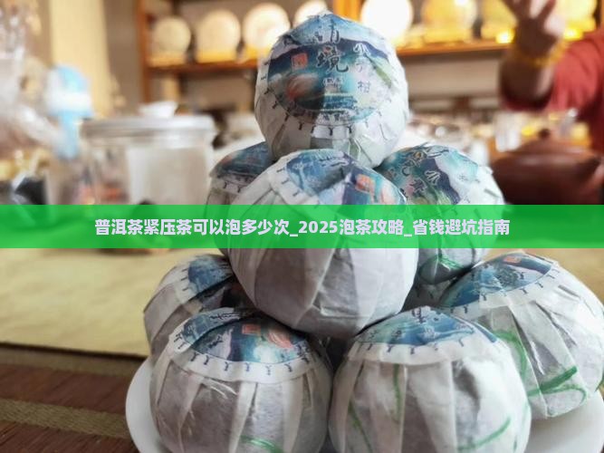 普洱茶紧压茶可以泡多少次