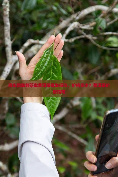 勐海老班章普洱茶价格多少