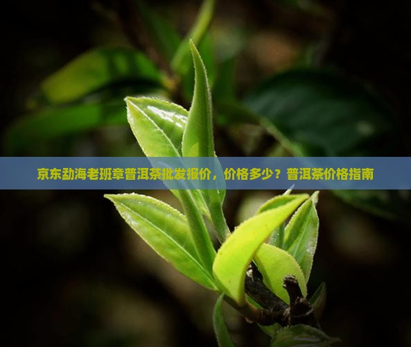 勐海老班章普洱茶价格多少