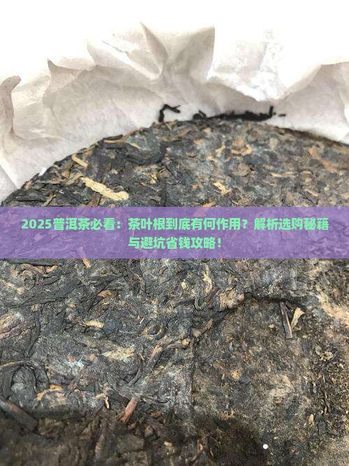 普洱茶有茶叶根