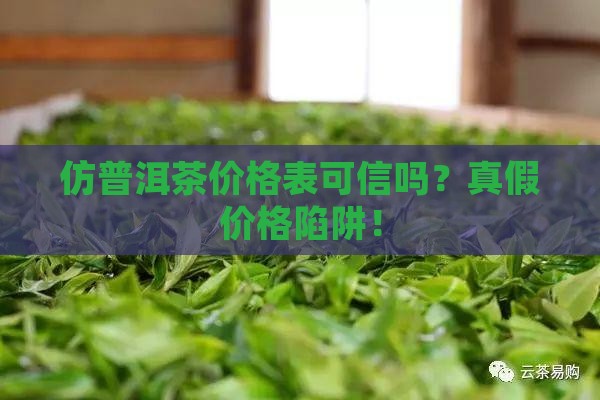 仿普洱茶价格表