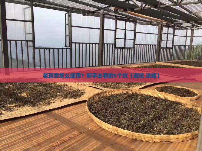 老班章怎么使用 老班章怎么使用