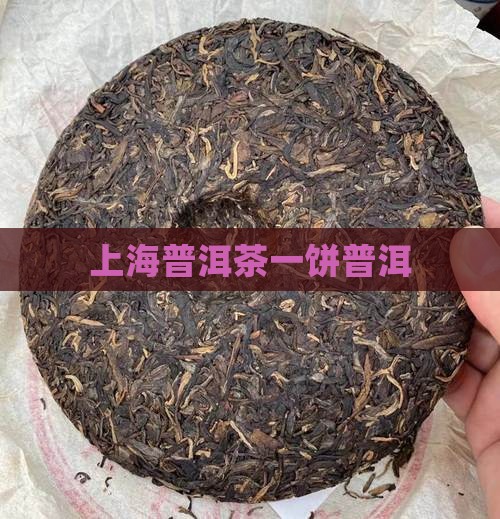 上海第一饼普洱茶 上海第一饼普洱茶
