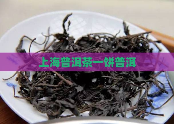 上海第一饼普洱茶 上海第一饼普洱茶