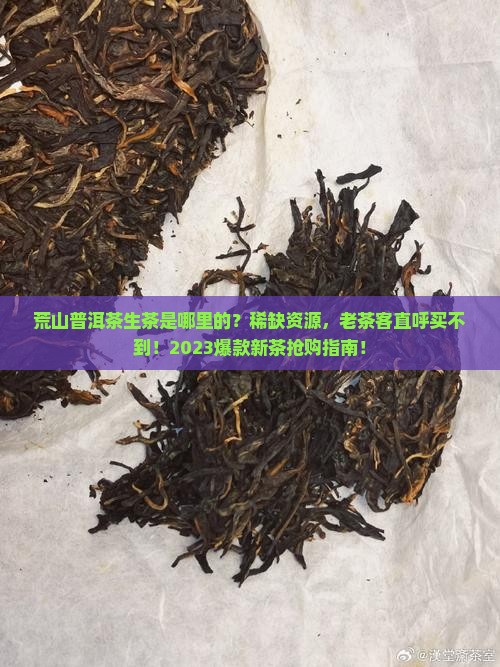 荒山普洱茶生茶是哪里的