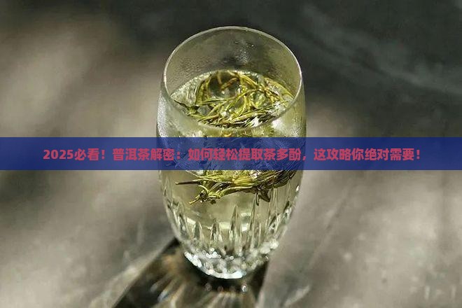 普洱茶能提取茶多酚