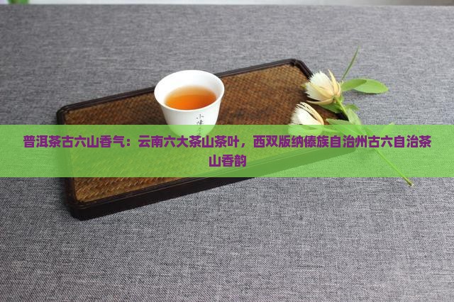 普洱茶古六山香气