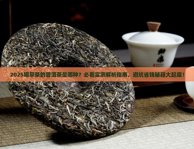 喝早茶的普洱茶是哪种