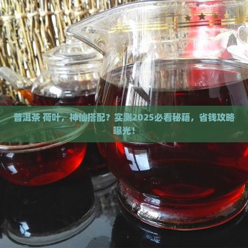普洱茶和荷叶能一起喝