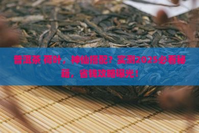 普洱茶和荷叶能一起喝