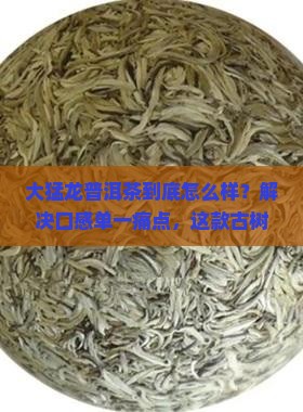 大猛龙普洱茶特点