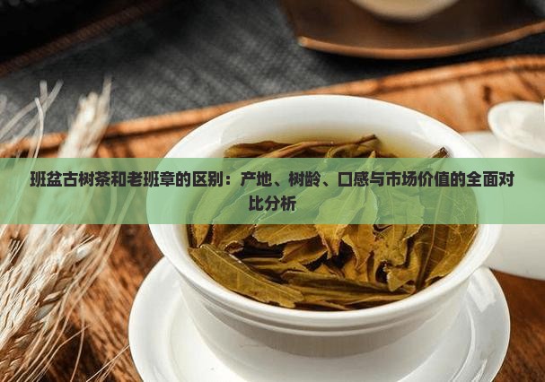 班盆古树茶和老班章的区别