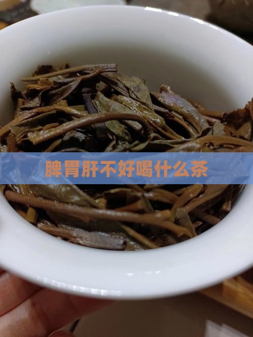 脾胃肝不好喝什么茶