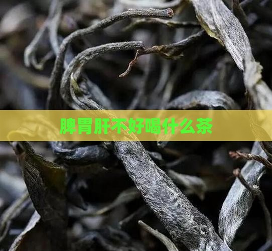 脾胃肝不好喝什么茶