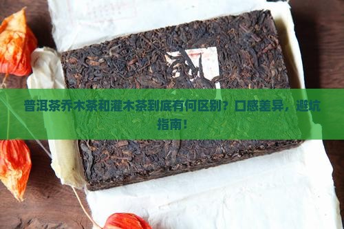 普洱茶乔木茶和灌木茶区别