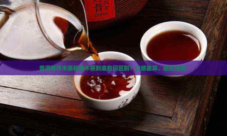 普洱茶乔木茶和灌木茶区别