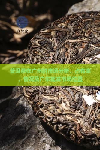普洱茶在广州的市场