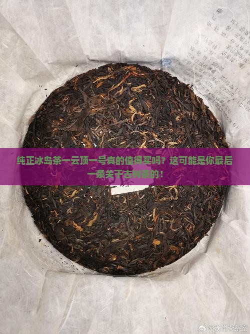 纯正冰岛茶一云顶一号