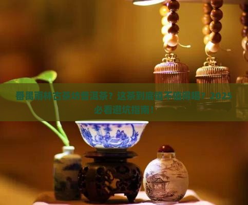 番禺雨林古茶坊普洱茶