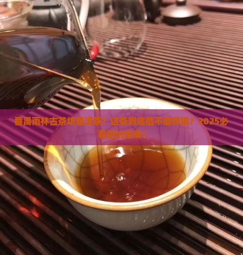 番禺雨林古茶坊普洱茶