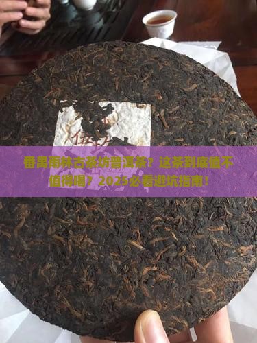 番禺雨林古茶坊普洱茶