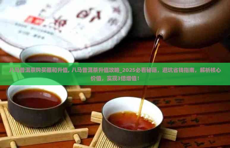 八马普洱茶购买藏和升值