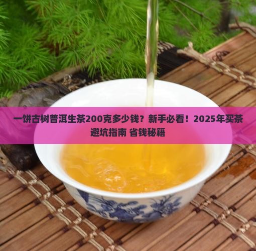 一饼古树普洱生茶200克多少钱