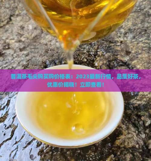 普洱茶毛尖购买购价格表