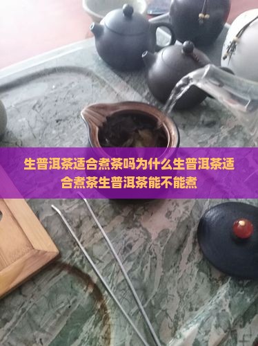 生普洱茶适合煮茶吗